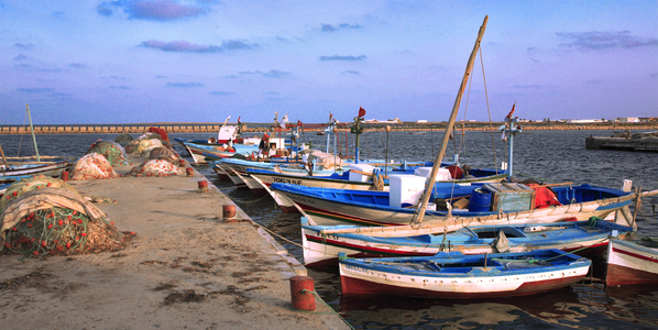 Tunisia, Kerkennah Islands, Port d'Attaya, fishing flotilla (photo)