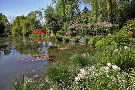 Eure (department 27) - Giverny - Water Garden by Claude Monet