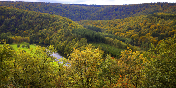 In Herbeumont, Semois Valley, Province of Luxembourg, Belgium (photo)