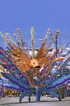 Trinidad, Carnival 2008 in Port of Spain (photo)
