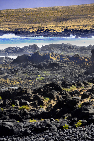 Basalt coast, Lanzarote (photo)