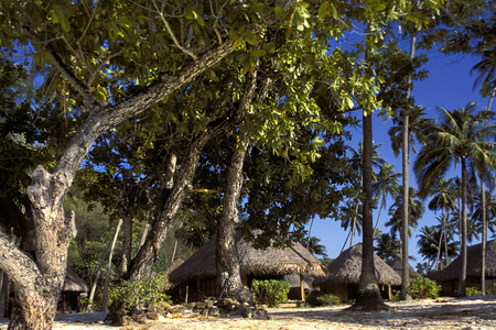 French Polynesia, island of Moorea, tourist hotel (photo)