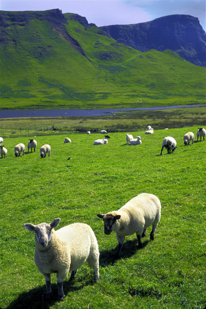 Isle of Skye, Duirinish Peninsula, Scotland (photo)