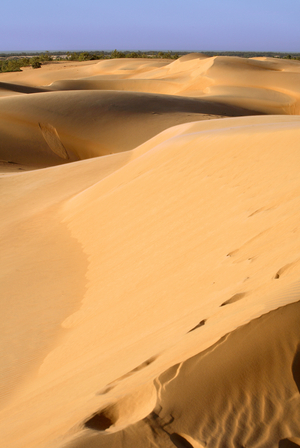 Senegal, desert of Lompoul (photo)