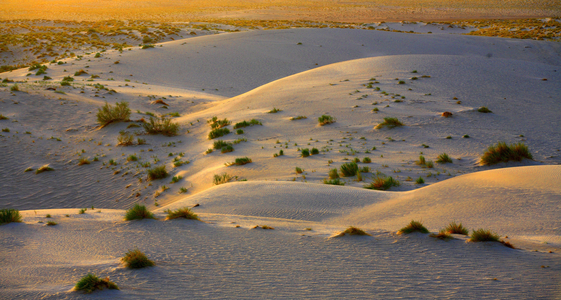 Tunisia, Desert (photo)