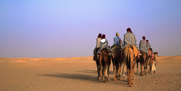 Tunisia, Dromedary ride in the dunes, near Douz (photo)