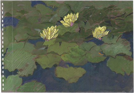 White waterlilies, 1980s (chalk pastel on paper)