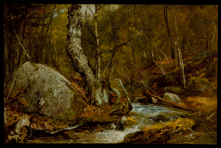 Woodland Interior, c.1850-55 (oil on canvas)