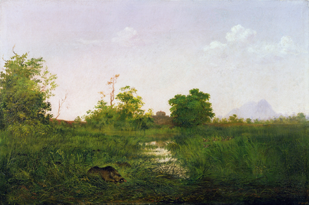 A sounder of warthogs in Sindolia Tank, Nasirabad Khandesh (oil on canvas)