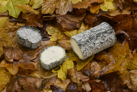 Goat Cheese/P'Tit Sainte Moure