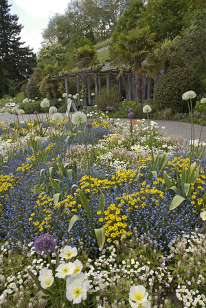Botanical Garden/Mainau Island/Lake Constance/Germany