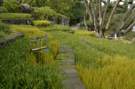 Rice Garden/Gardens of Thailand/Gardens of the World/Pairi Daiza, Domaine de Cambron/Brugelette/Belgium