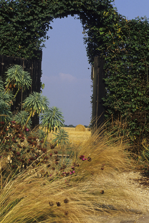 Jardin Plume/Auzouville sur Ry/Seine Maritime/France