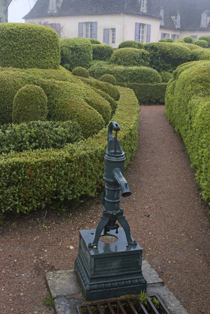 Hanging gardens of the castle of Marqueyssac/Buxus sempervirens/Boxwood/Dordogne/Aquitaine/France