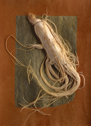 Panax ginseng/Ginseng/Ren Shen