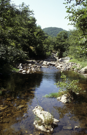 Riviere/Ardeche/Rhone Alps/France