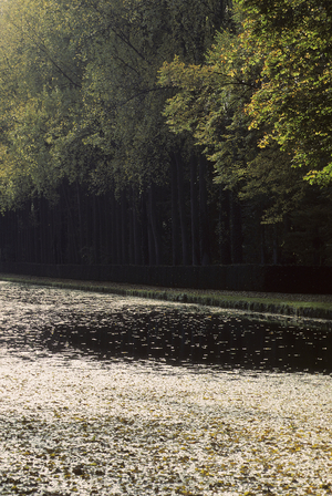 Parc du chateau de Courances/Grand Canal/Riviere l'Ecole/Milly la Foret/Essonne/France