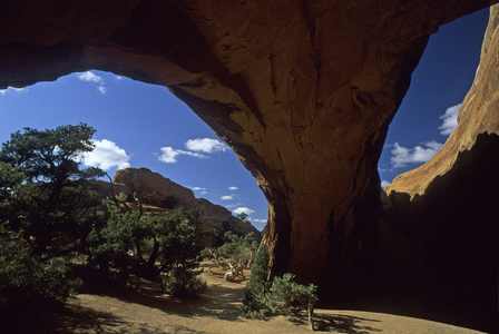 Navajo Arch/Arches National Park/Utah/USA