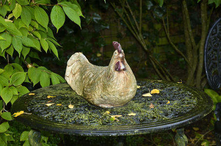 Green metal garden table/Ceramic hen/Uccle/Brussels/Belgium