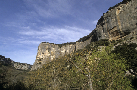 Cliffs of Buoux/Luberon Regional Natural Park/Vaucluse/Provence Alpes Cote d'Azur/France
