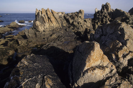 Cote Sauvage/Ile d'Ouessant/Finistere/Brittany/France