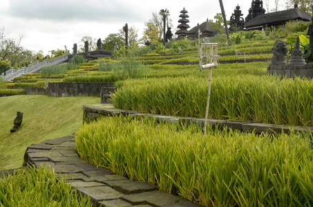 Rice Garden/Gardens of Thailand/Gardens of the World/Pairi Daiza, Domaine de Cambron/Brugelette/Belgium