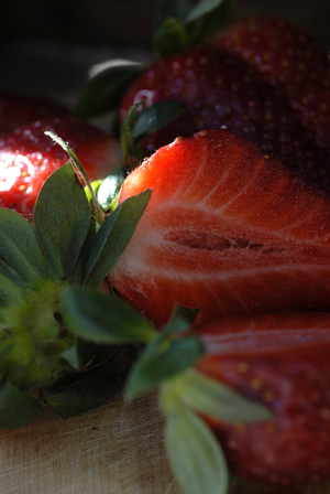 Fragaria x anananassa/Strawberry