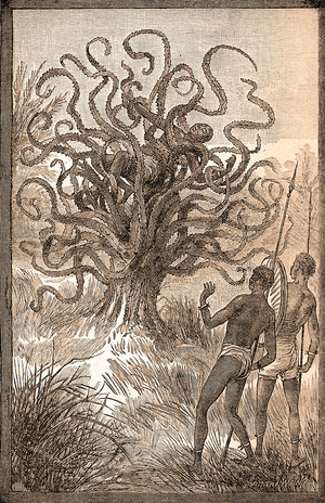 Botanical illustration/Ya-Te-Veo/Carnivorous tree with an indigenous, legendary species of Africa and Central America - Engraving by Sea and Land by J. W. Buel (1849-1920), 1887