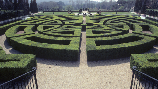 Parc du chateau de Gaude/Aix en Provence/Buis size
