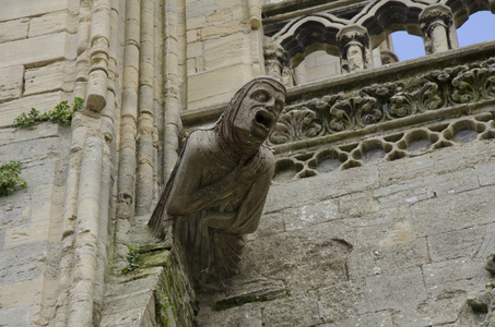 Cathedrale Notre Dame de Bayeux/Gargouille/Bessin/Calvados/Lower Normandy/France
