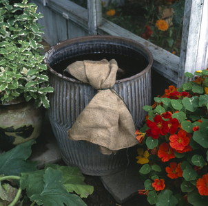 Fertilization/Preparation with nettle purine