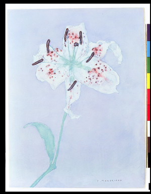 Lily, after 1921 (watercolour and pencil)