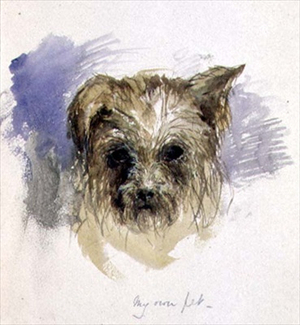 My Pet Dog