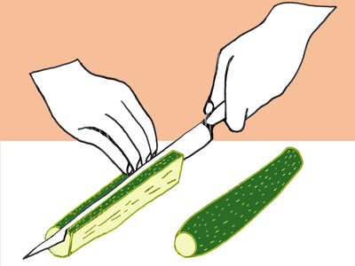 Courgette, 2009 (mixed media)