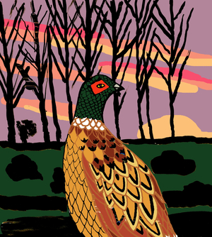 Pheasant, 2009 (mixed media)