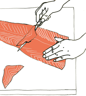 Salmon, 2008-09 (mixed media)