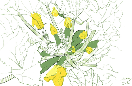 Courgette Plant, 2008-09 (mixed media)