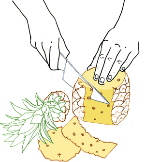 Pineapple, 2008-09 (mixed media)