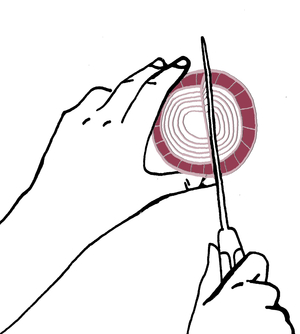 Red Onion, 2009 (mixed media)