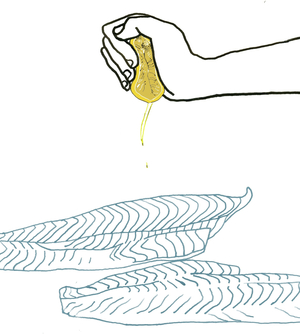 Lemon Squeeze, 2008-09 (mixed media)