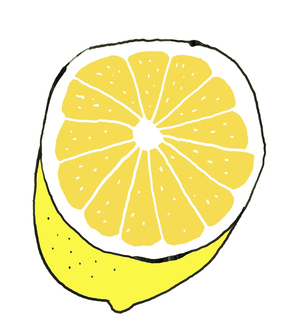 Lemon, 2008-09 (mixed media)