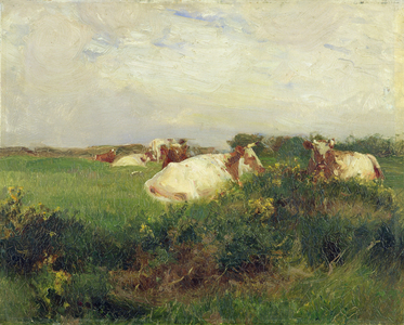Cows in Field, 1895 (oil on board)
