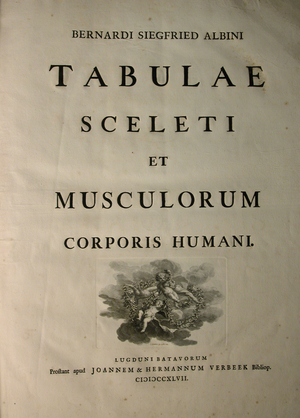 Albinus I, Title Page, from 'Tabulae sceleti et musculorum corporis humani', by Bernhard Siegfried Albinus (1697-1770), published by J.&H. Verbeek, bibliop., Leiden, 1747 (engraving)