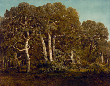 The Great Oaks of Old Bas-Breau, 1864 (oil on canvas)