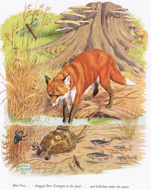 Brer Fox dragged Brer Terrapin to the pond and held him under the water, illustration from 'Uncle Remus' by Joel Chandler Harris (colour litho)