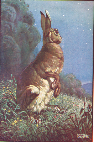 The Look Out, illustration from 'All Round the Year. Animal Stories', published by Blackie and Son (colour litho)