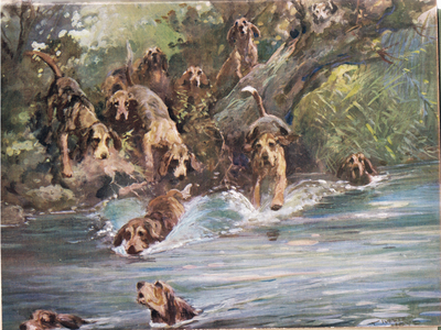 Into the River, illustration from 'Hounds' (colour litho)