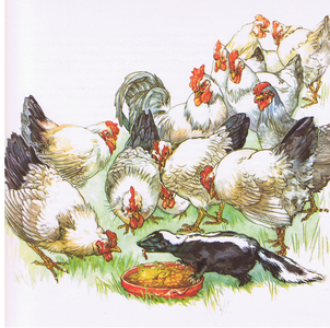 Chickens and a Skunk, illustration from 'Strange Animal Friendships', by K. Nixon (1894-1988), printed by Frederick Warne & Co. Ltd London, 1958 (colour litho)