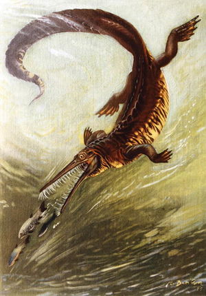 A Prehistoric crocodile chasing fish, plate 13 from 'Prehistoric Animals' by Dr. Joseph Augusta, published 1940's (colour litho)