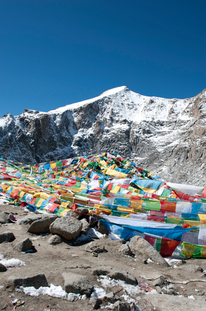 Tibetan Buddhism; many colorful prayer flags at the Dolma La Pass; 5670 m; pilgrimage route to the sacred Mount Kailash; writing on rock; Gang Rinpoche; Kora; Ngari; Gang-Tit Mountains; Trans-Himalaya; Himalayan; West Tibet; Tibet Autonomous Region; People's Republic of China; Asia